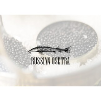 Russian Osetra Caviar best and high quality in Dubai