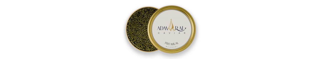Premium Unique Hybrid Caviar | Purchase Now | Free Home Delivery
